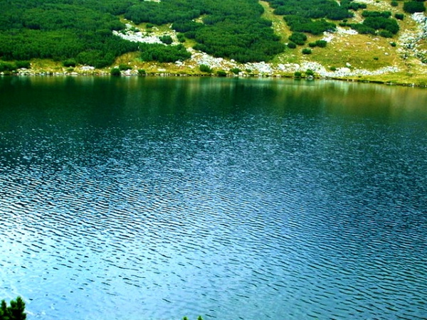 lacul-galcescu-4