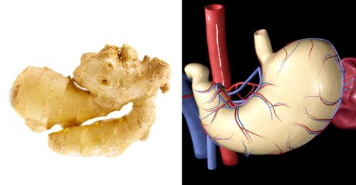 Ghimbirul și stomacul