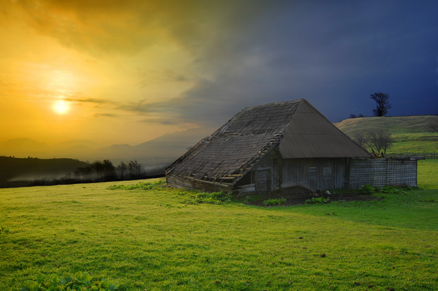 sirnea-piatra-craiului-007