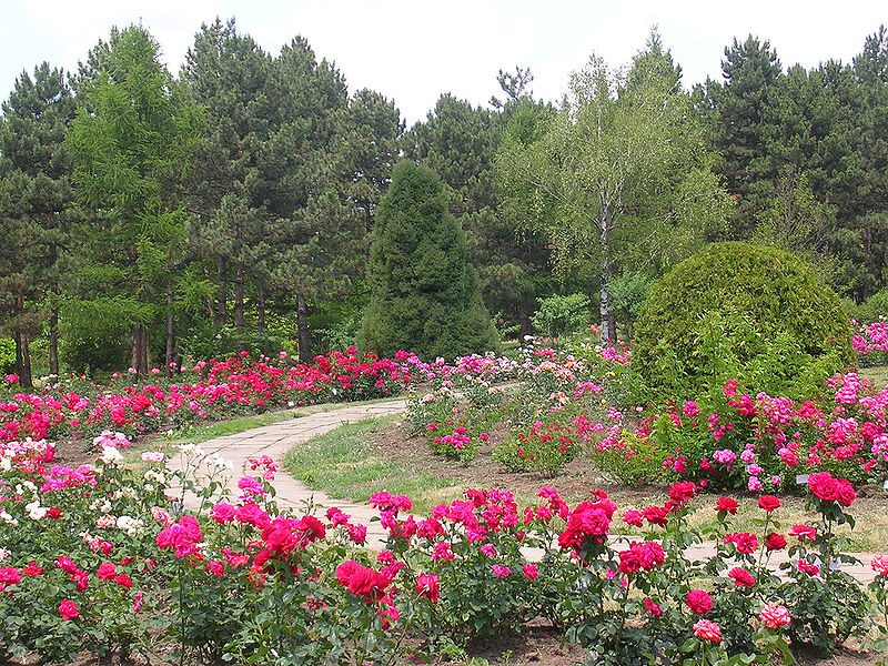 800px-Botanical_Garden_Iasi_2