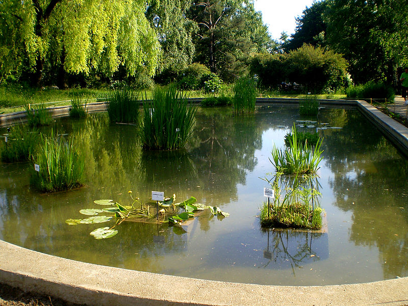 Iaşi_,_Grădina_Botanică_16