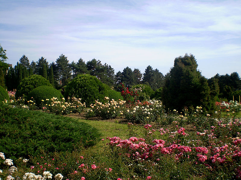 Iaşi_,_Grădina_Botanică_5