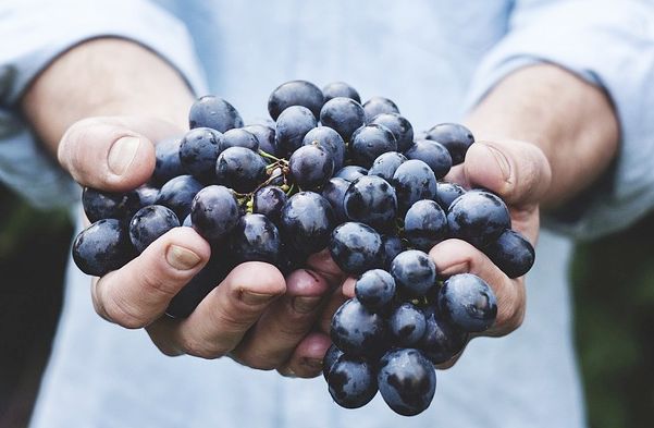 Alimentația în Cancer