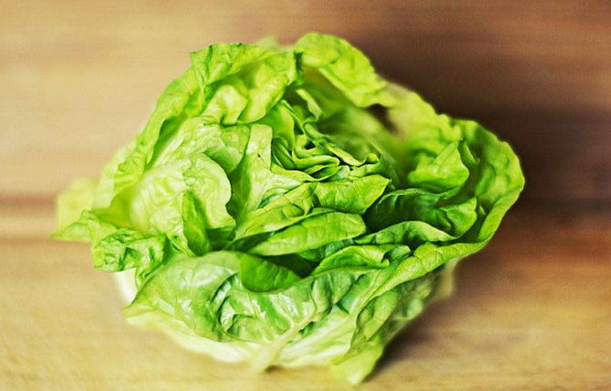 Lettuce перевод на русский. Iceberg lettuce. Marul. Копфсалат. Побеги лист салата.