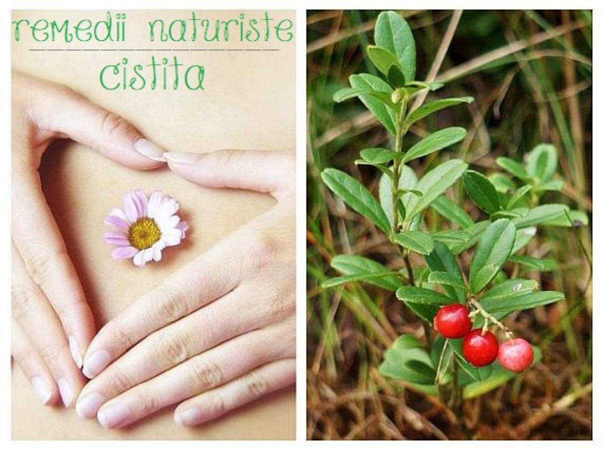 Tratament naturist - Cistita cronica (pachet), Pret: 