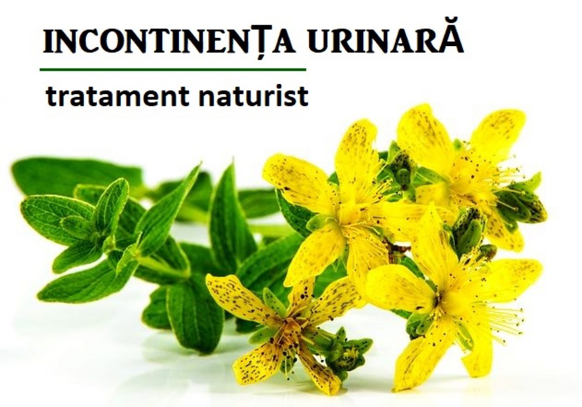 plante medicinale pentru vezica urinara