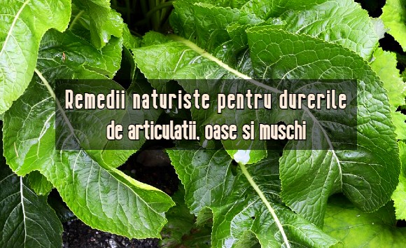 Reumatismul și remediile naturiste prin care îl poți combate – Faunus Plant