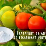 Tratament cu bicarbonat si aspirina pentru rosii