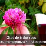 Otet de trifoi rosu pentru menopauza si osteoporoza