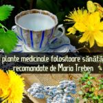 9 plante medicinale folositoare sanatatii