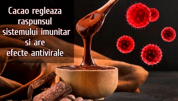 Cacao are efecte antivirale 