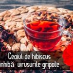 Ceaiul de hibiscus inhiba virusurile gripale