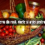 conserva din rosii, vinete si ardei pentru iarna