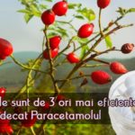 Macesele sunt de 3 ori mai eficiente decat Paracetamolul