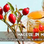 Macese in miere reteta