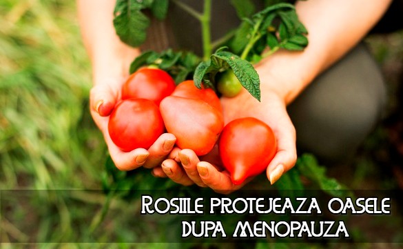 Rosiile protejeaza oasele dupa menopauza 