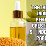 Tratament indian pentru cresterea si indesirea parului