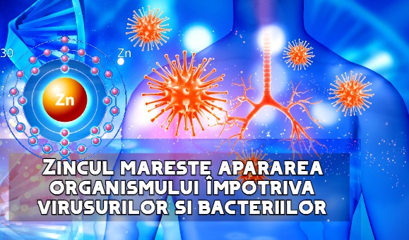 Zincul mareste apararea organismului impotriva virusurilor si bacteriilor