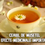 Ceaiul de musetel – 7 efecte medicinale importante
