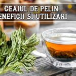 Ceaiul de pelin – beneficii si utilizari