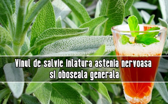 Vinul de salvie inlatura astenia nervoasa si oboseala generala