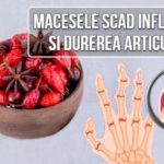 Macesele scad inflamatia si durerea articulara