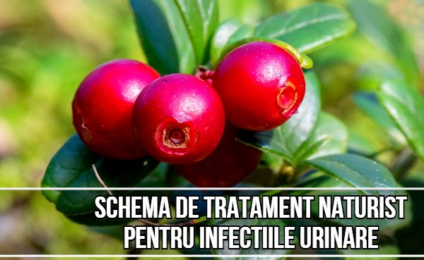 Tratament naturist pentru infectia urinara