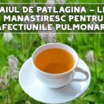 Ceaiul de patlagina - leac manastiresc pentru afectiunile pulmonare