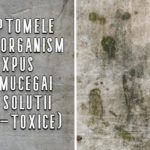 Simptomele unui organism expus la mucegai (si solutii non-toxice)