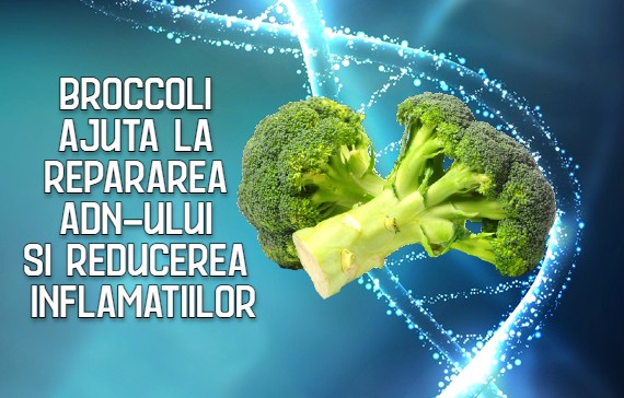 Broccoli ajuta la repararea ADN-ului si reducerea inflamatiilor