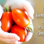 Ce beneficii au rosiile cherry