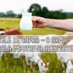 Laptele de capra – o arma naturala impotriva obezitatii