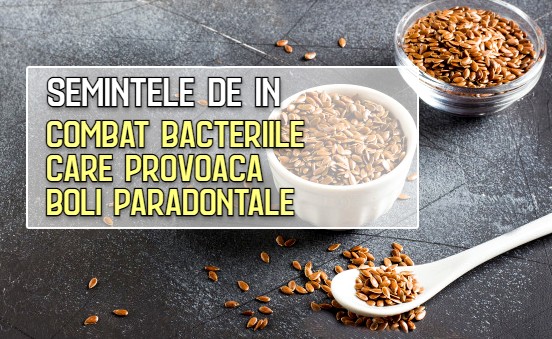 Semintele de in combat bacteriile care provoaca bolile paradontale