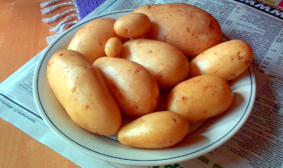 Compresia de cartofi din varicoza. Cartof crud ras pentru varice