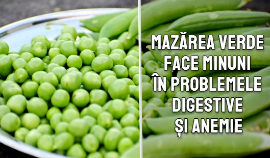 Mazarea verde face minuni in problemele de digestive si anemie