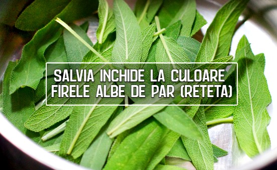 Salvia închide la culoare firele albe de par – reteta de dr. Eugen Giurgiu