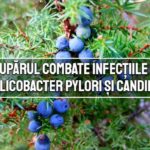 Ienupaarul combate infectiile cu Helicobacter pylori si Candida