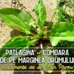 Patlagina - tratamente recomandate de dr. C-tin Parvu