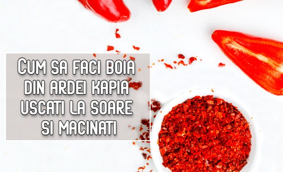 Cum sa faci boia din ardei kapia uscati la soare si macinati