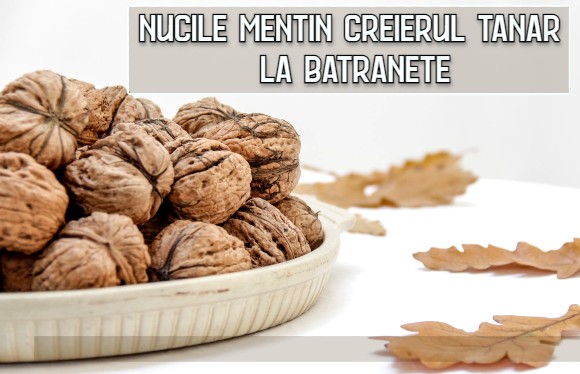 Nucile mentin creierul tanar si activ la batranete