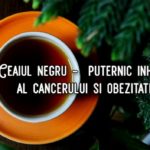 Ceaiul negru - puternic inhibitor al cancerului si obezitatii