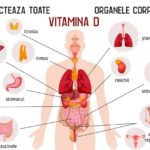 Vitamina D afecteaza toate organele din corp
