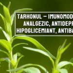 Tarhonul – imunomodulator, analgezic, antidepresiv, hipoglicemiant, antibacterian