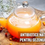 Antibiotice naturale pentru sezonul rece - fitoterapeut Maria Pop