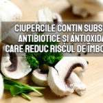 Ciupercile contin substante antibiotice si antioxidante care reduc riscul de imbolnavire