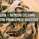 Salvia - remediu celebru pentru afectiunile digestive