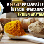 5 plante alternativa la medicamentele antiinflamatoare