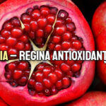 Rodia – regina antioxidantilor