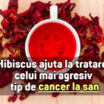 Hibiscus combate cel mai agresiv cancer la san