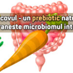 Morcovul - un prebiotic natural care hraneste flora intestinala